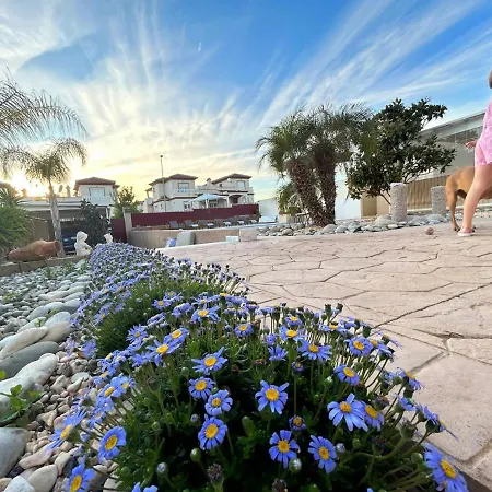 Magnífica Con Piscina La Marina-oasis A 3km De La Playa Villa *